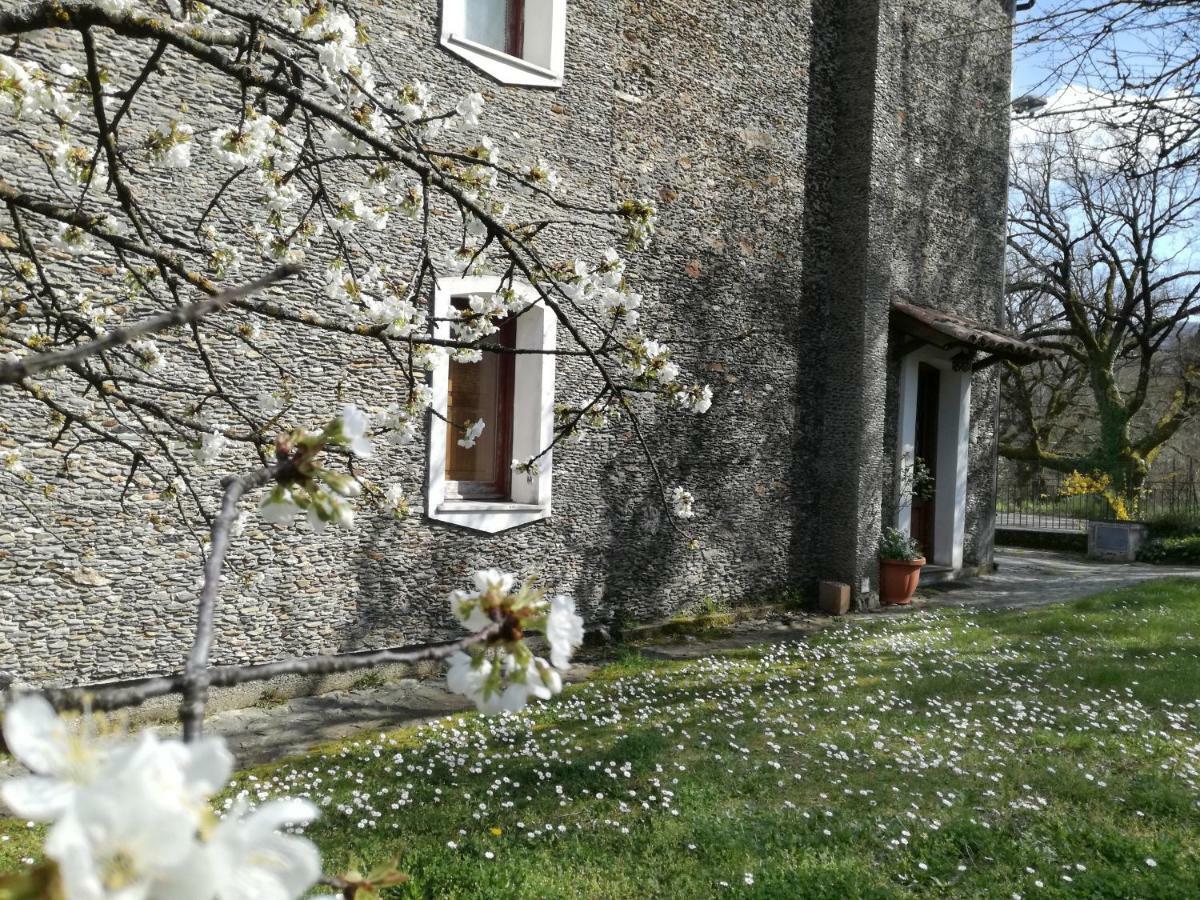 Casa Nel Verde Decollatura Eksteriør billede