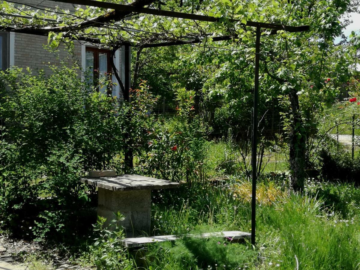 Casa Nel Verde Decollatura Eksteriør billede