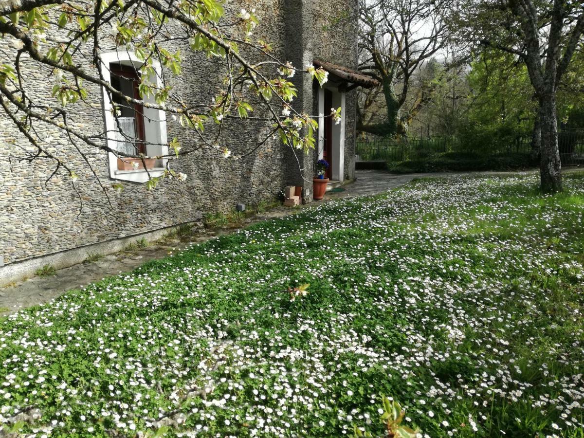 Casa Nel Verde Decollatura Eksteriør billede